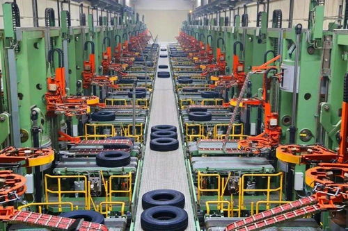 青岛发布网络技术服务新金花培育名单，谁将成为未来的五朵金花？